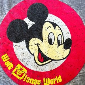 Authentic Disney World Distressed Hoodie adult sizes (1) medium and (1) large